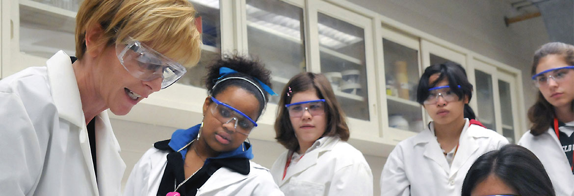 High School Scientists in the Lab