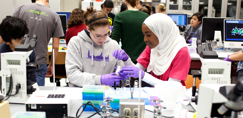 students work together in chemistry lab